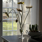 Clear glass flute vase with tall stems and flowers on a table by a window in Scandinavian minimal style