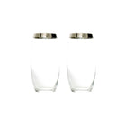 Platinum Highball - Set of 2