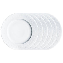 Crispy Lunch Plate - Set of 6